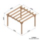 Pergola en bois autoportée lamellé-collé MARSELLA