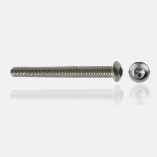 vis tête bombée en inox A4 M10x110