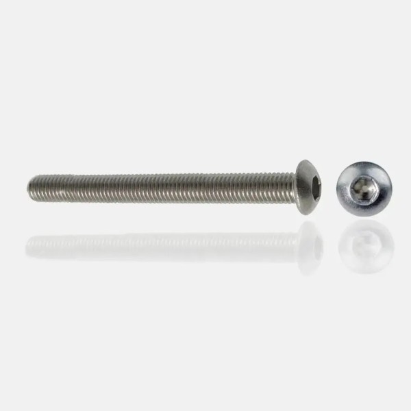 vis tête bombée en inox A4 M10x110