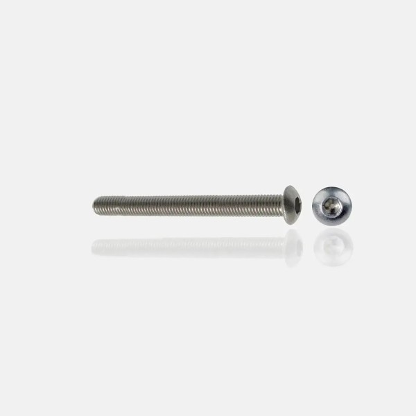 Vis inox A4 M8x90 tête bombée