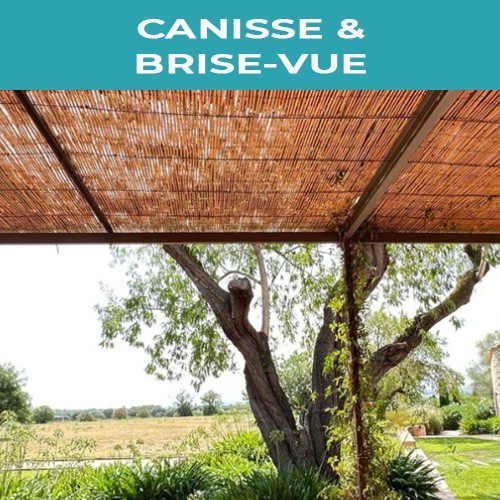 Canisse et brise-vue