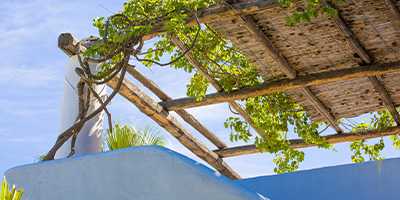 Toile pergola en canisses