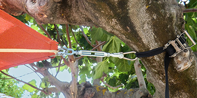 Système de tension pour fixer une voile d'ombrage sur un arbre