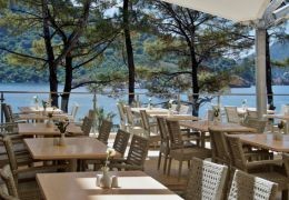 Restaurateurs : Protégez votre terrasse en installant une toile